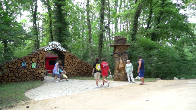 Türkiye'nin ilk 'Orman Kütüphanesi' ziyaretçilerini bekliyor